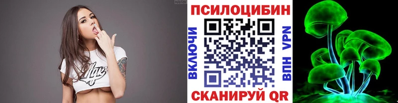 блэк спрут   Жердевка  Галлюциногенные грибы прущие грибы 